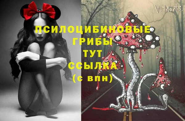 кокс Костерёво