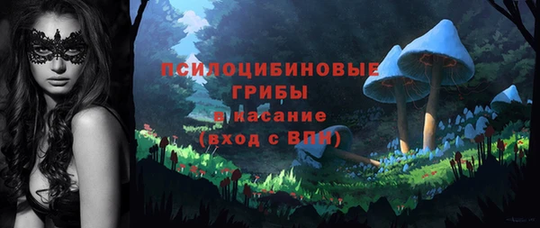 ПСИЛОЦИБИНОВЫЕ ГРИБЫ Корсаков