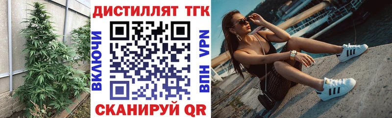 где найти наркотики  Эртиль  mega ССЫЛКА  Дистиллят ТГК THC oil 