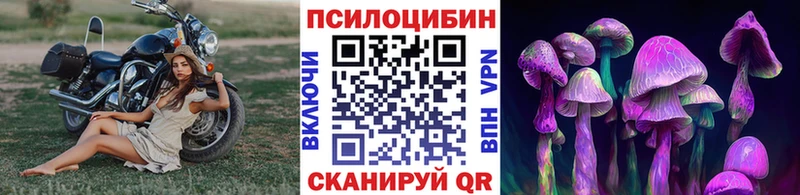 Галлюциногенные грибы Cubensis  Эртиль 